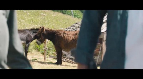 Vickynin.Gizemli.Dostu.2021.NF.XviD.WEB-DL.TRDUB-TORK.avi_snapshot_00.15.35.780.jpg