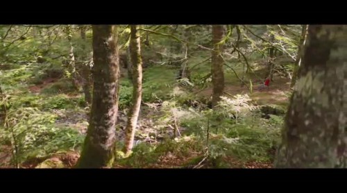 Vickynin.Gizemli.Dostu.2021.NF.XviD.WEB-DL.TRDUB-TORK.avi_snapshot_00.38.35.330.jpg