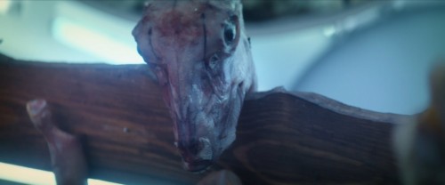 The.Man.Who.Sold.His.Skin.2020.WEB-DL.1080p.x264.AC3.DUAL.TR-ENG.TORK.mkv_snapshot_00.16.54.651.jpg