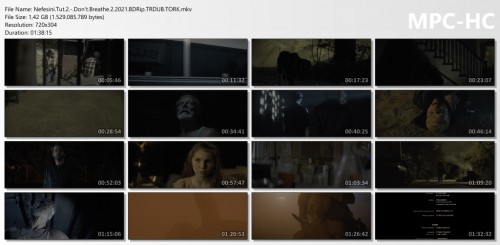 Nefesini.Tut.2.-.Dont.Breathe.2.2021.BDRip.TRDUB.TORK.mkv_thumbs.jpg