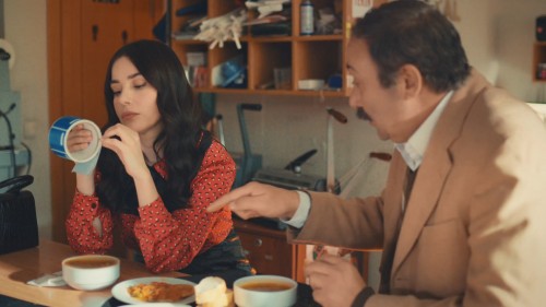 Hayaller.ve.Hayatlar.S01BL01.WEBRip.1080p.AC3.TR.TORK.mkv_snapshot_33.18.849.jpg