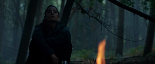 Dunyada.In.the.Earth.2021.BluRay.1080p.x264.AC3.DUAL.TR-ENG.TORK.mkv_snapshot_00.13.28.541.jpg