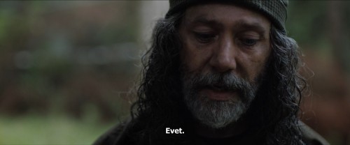 Dunyada.In.the.Earth.2021.BluRay.1080p.x264.AC3.DUAL.TR-ENG.TORK.mkv_snapshot_00.27.26.189.jpg