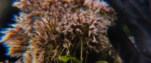 Dunyada.In.the.Earth.2021.BluRay.720p.x264.AC3.DUAL.TR-ENG.TORK.mkv_snapshot_01.23.18.802.jpg