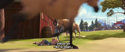 Ozgur.Ruh.Spirit.2021.BDRip.x264.AC3.TR.TORK.mkv_snapshot_00.34.26.766.jpg