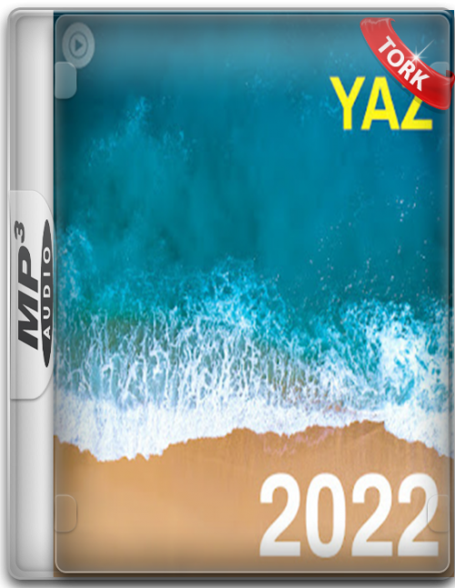 Cesitli-Sanatcilar-Yaz-2022-En-Hit-Muzikleri-TORK.png