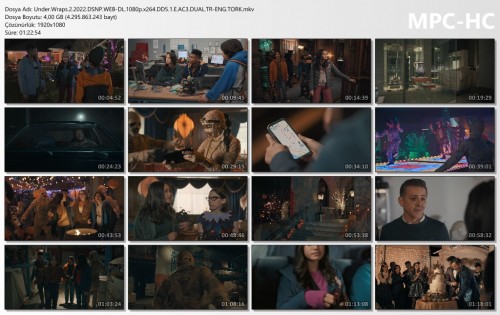 Under.Wraps.2.2022.DSNP.WEB-DL.1080p.x264.DD5.1.E.AC3.DUAL.TR-ENG.TORK.mkv_thumbs.jpg