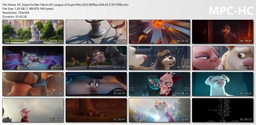 DC.Super.Evciller.Takimi.DC.League.of.Super.Pets.2022.BDRip.x264.AC3.TR.TORK.mkv_thumbs.jpg
