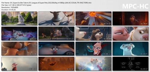 DC.Super.Evciller.Takimi.DC.League.of.Super.Pets.2022.BluRay.m1080p.x264.AC3.DUAL.TR-ENG.TORK.mkv_thumbs.jpg