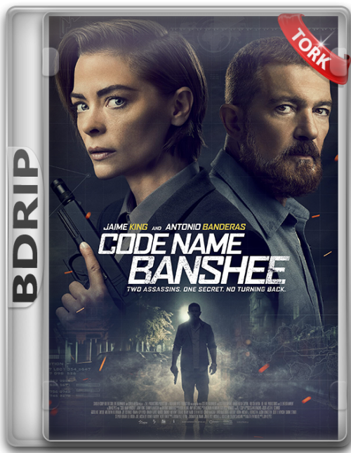banshee-bdrip.png