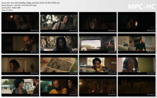 Alice.2022.WEBRip.1080p.x264.AAC.DUAL.TR-ENG.TORK.mkv_thumbs.jpg
