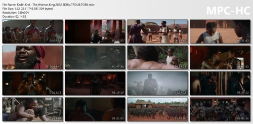 Kadin.Kral.-.The.Woman.King.2022.BDRip.TRDUB.TORK.mkv_thumbs.jpg