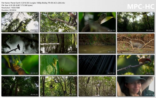 Planet-Earth-II-2016-E03-Jungles-1080p-BluRay-TR-EN-AC3-x264.mkv_thumbs.jpg