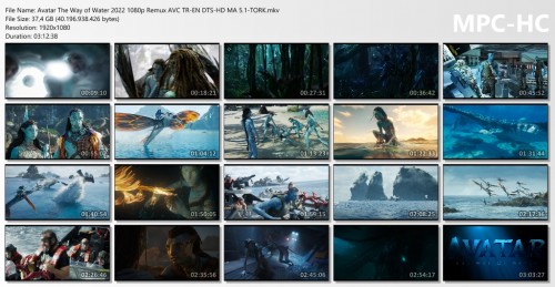 Avatar-The-Way-of-Water-2022-1080p-Remux-AVC-TR-EN-DTS-HD-MA-5.1-TORK.mkv_thumbs.jpg