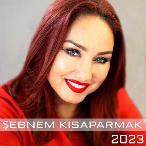 Sebnem-Kisaparmak-Poster.jpg