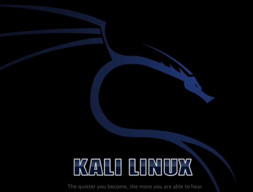 Kali-ile-Adan-Zye-Etik-Hack---Gorsel-Egitim-Seti-Poster.png