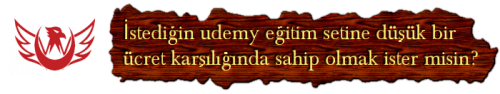 udemynrt.png