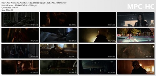 Winnie.the.Pooh.Kan.ve.Bal.2023.BDRip.x264.DD5.1.AC3.TR.TORK.mkv_thumbs.jpg