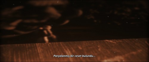 Winnie.the.Pooh.Kan.ve.Bal.2023.BluRay.1080p.x264.DTS.AC3.DUAL.TR-ENG.TORK.mkv_snapshot_00.13.51.683.jpg