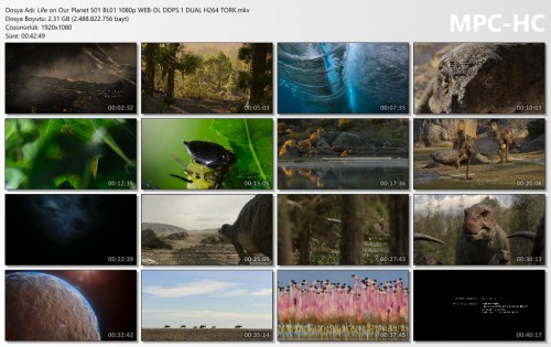 Life-on-Our-Planet-S01-BL01-1080p-WEB-DL-DDP5.1-DUAL-H264-TORK.mkv_thumbs.jpg