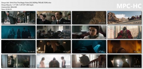 Sihirli.Flut.The.Magic.Flute.2022.BDRip.TRDUB.TORK.mkv_thumbs.jpg