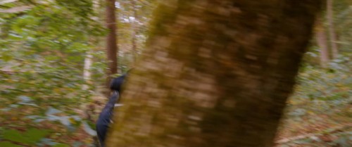 Yaz.Kampina.Kacis.Camp.Hideout.2023.WEBRip.1080p.x264.AC3.DUAL.TR-ENG.TORK.mkv_snapshot_00.44.56.106.jpg