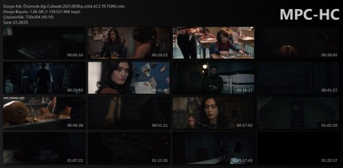 Orumcek.Agi.Cobweb.2023.BDRip.x264.AC3.TR.TORK.mkv_thumbs.jpg