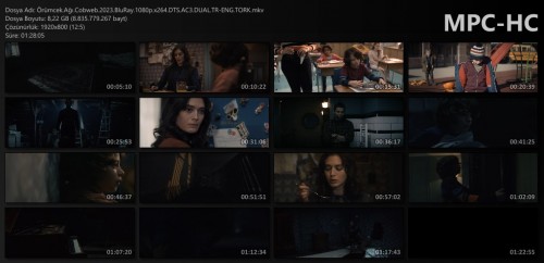 Orumcek.Agi.Cobweb.2023.BluRay.1080p.x264.DTS.AC3.DUAL.TR-ENG.TORK.mkv_thumbs.jpg
