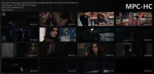 Orumcek.Agi.Cobweb.2023.BluRay.m1080p.x264.DD5.1.AC3.DUAL.TR-ENG.TORK.mkv_thumbs.jpg