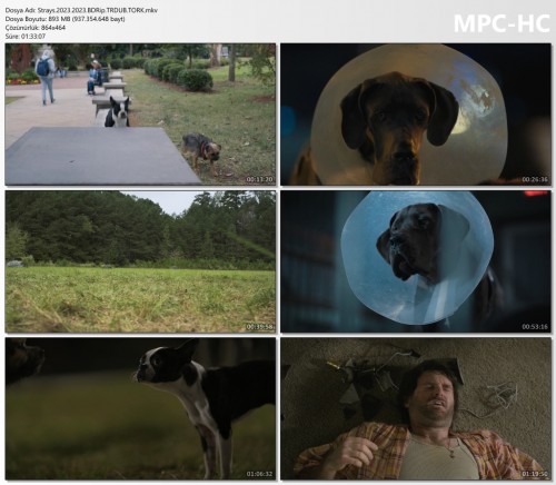 Strays.2023.2023.BDRip.TRDUB.TORK.mkv_thumbs.jpg