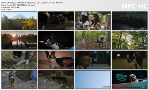 Strays.2023.BluRay.m1080p.DD5.1.x264.AC3.DUAL.TR-ENG.TORK.mkv_thumbs.jpg