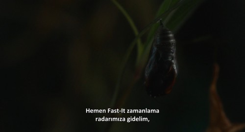 Bir.Skandalin.Pesinde.May.December.2023.AMZN.WEB-DL.1080p.H264.DD5.1.AC3.ENG-TRSUB.TORK.mkv_snapshot_01.40.33.522.jpg