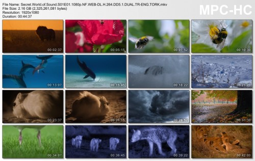 Secret.World.of.Sound.S01E01.1080p.NF.WEB-DL.H.264.DD5.1.DUAL.TR-ENG.TORK.mkv_thumbs_2024.08.13_00.00.50.jpg