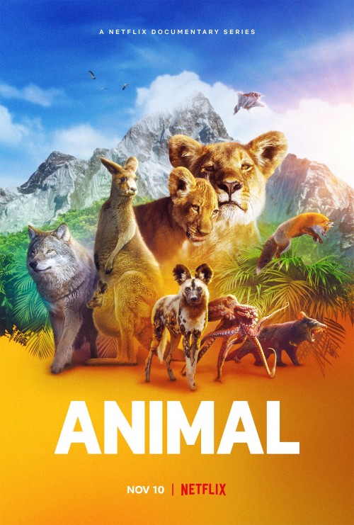Hayvanlarin-Sirlari---Animal.jpg