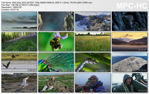 Wild.Isles.720p.jpg