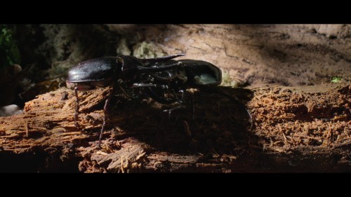alien.worlds.4.jpg