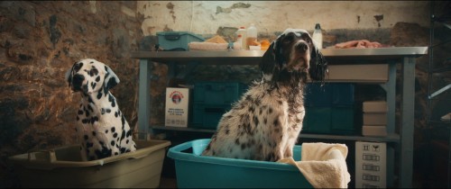 lassie.2023.5.jpg