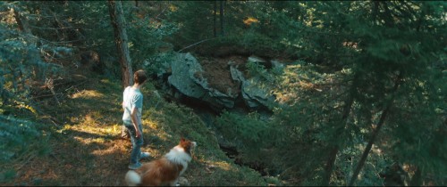 lassie.2023.6.jpg