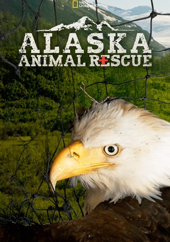 alaska.animal.rescue.jpg