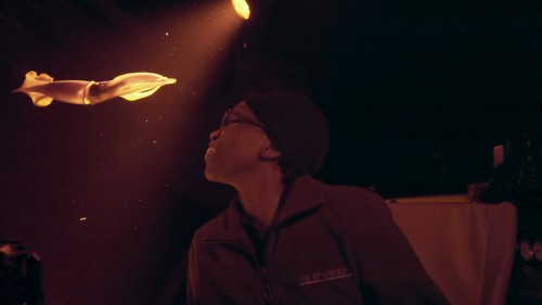 oceanxplorers.1.jpg