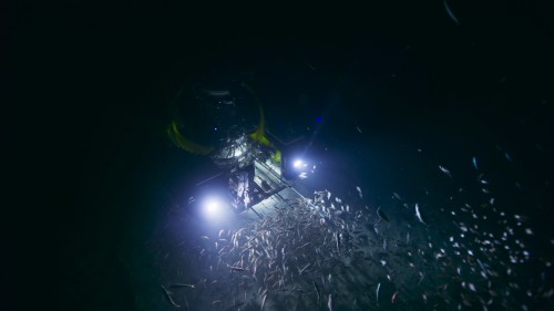 oceanxplorers.2.jpg