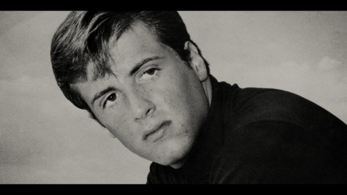 sly.2023.2.jpg