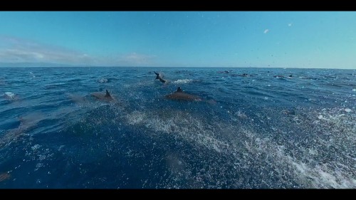our.oceans.4.jpg