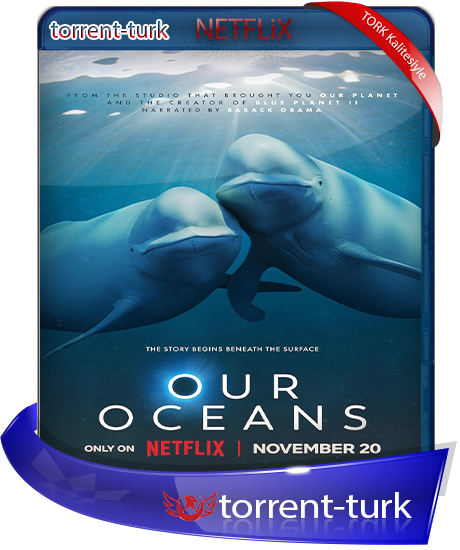 our.oceans.TORK.png