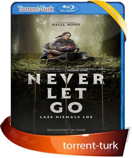 never.let.go.2024.png