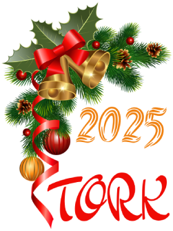 2025.png