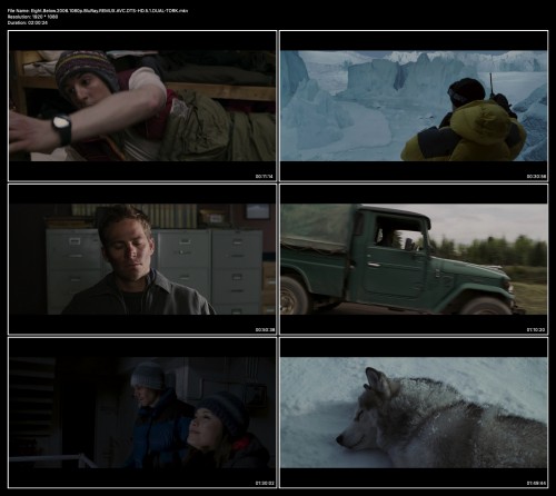 Eight.Below.2006.1080p.BluRay.REMUX.AVC.DTS-HD.5.1.DUAL-TORK.jpg