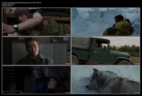 Eight.Below.2006.m1080p.BluRay.AC3.DUAL.H264-TORK.jpg