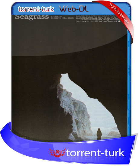 seag.tork.png