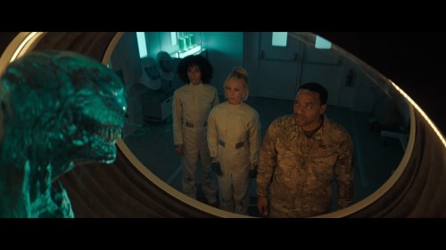 venom.last.dance.720p.3.jpg